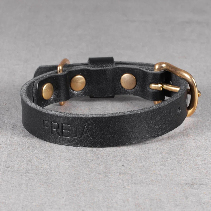 HX16-hundehalsbånd - Image 5