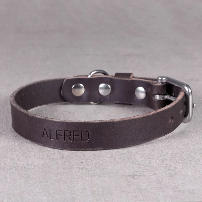 HX16-hundehalsbånd - Image 6