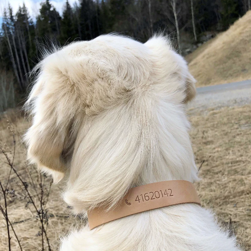 HX16-hundehalsbånd - Image 7