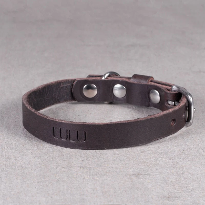 HX20-hundehalsbånd - Image 6