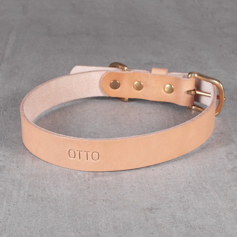 HX25-hundehalsbånd - Image 7